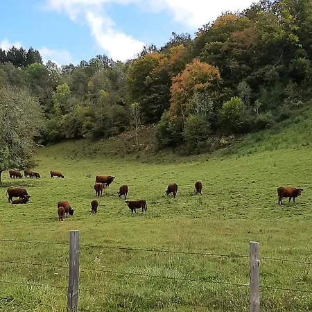 La Demeure De Cyr Отель типа 