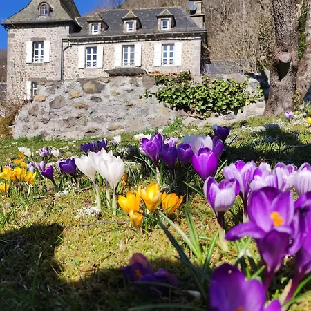 La Demeure De Cyr 3*