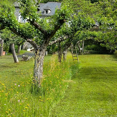 La Demeure De Cyr Saint-Chamant (Cantal)