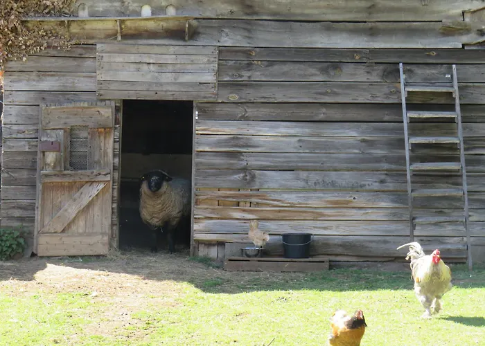 La Demeure De Cyr Bed and breakfast Saint-Chamant (Cantal)