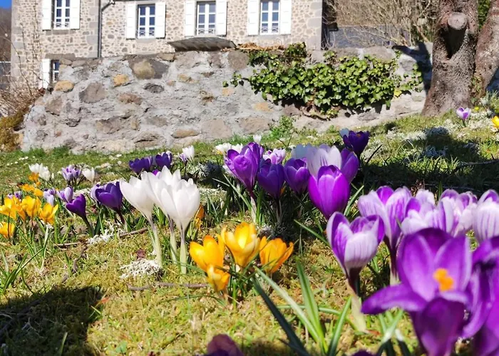 La Demeure De Cyr 3*