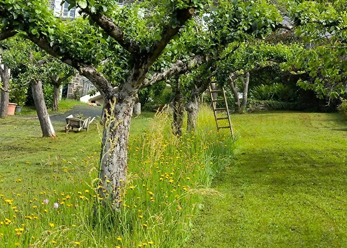 La Demeure De Cyr Saint-Chamant (Cantal)